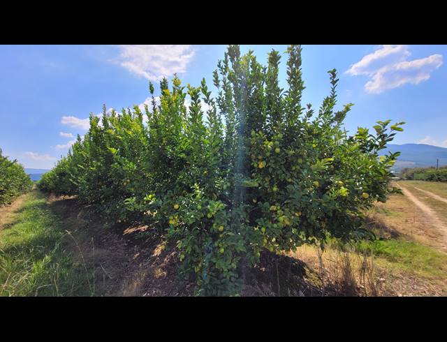 135HA FARM FOR SALE IN NELSPRUIT RURAL